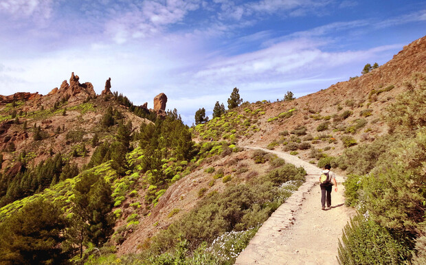 A person walks along a narrow, winding trail in a mountainous landscape with scattered trees and shrubs under a blue sky.